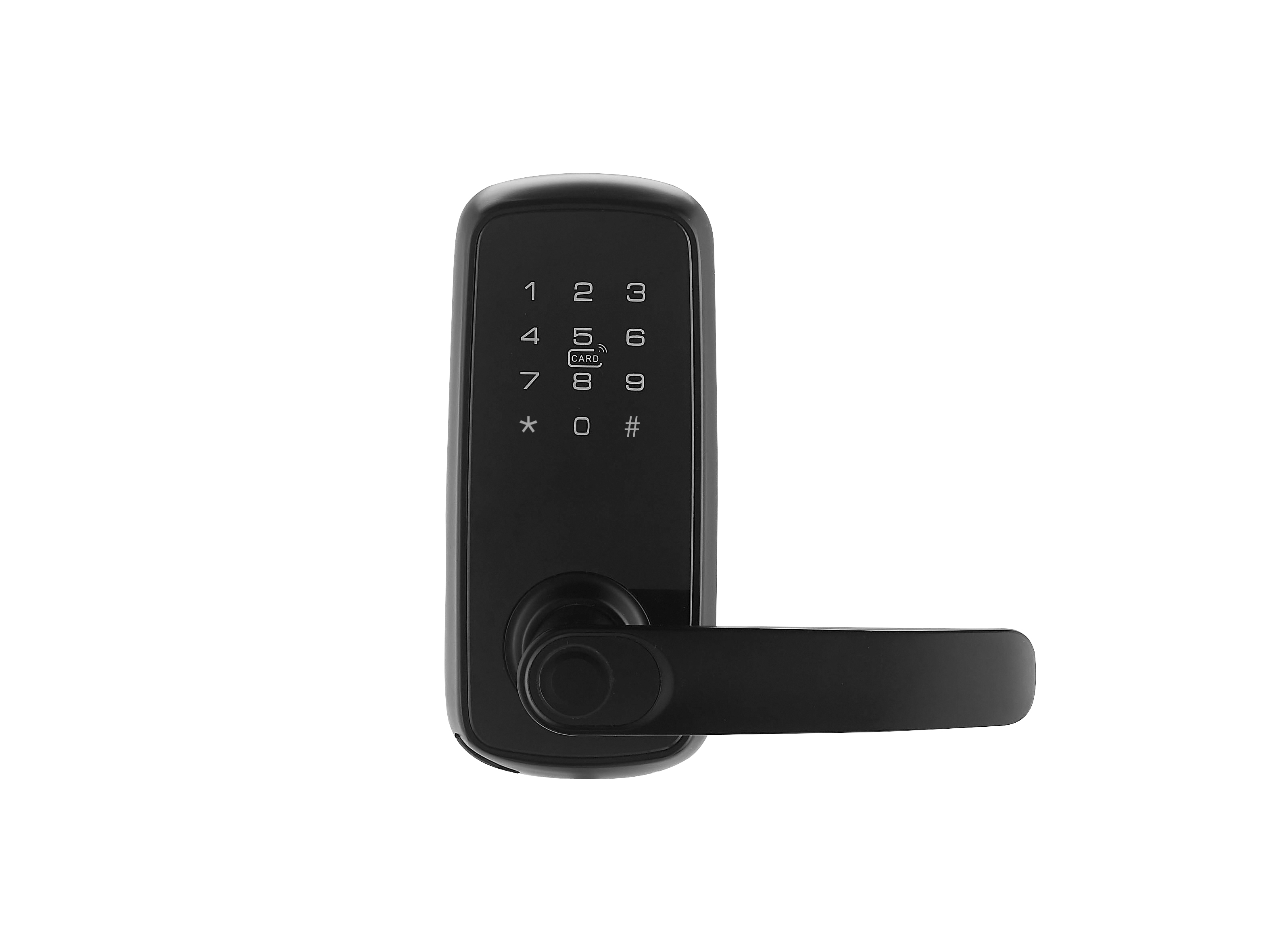 Electronic Door Locks